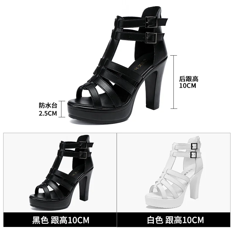Gladiator Ladies Shoe for Wome - مراجعة Casual Sandal Leather وسعره