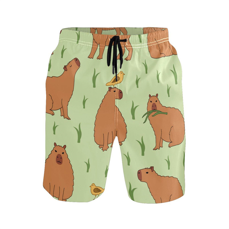 Cartoon Animal 3d Print Capyba - مراجعة Trunks Board Surf وسعره